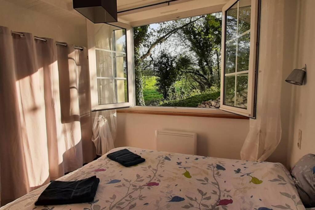 12 Rdc Appartement 2 Chambres Jardin Terrasse Plonéour-Lanvern Eksteriør billede