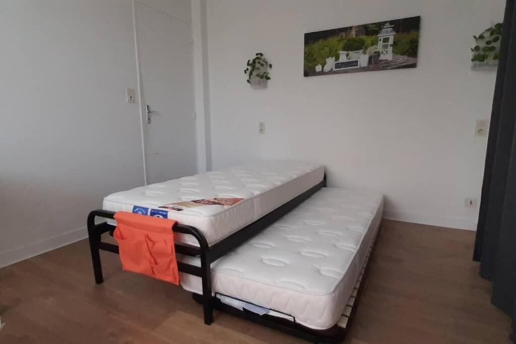 12 Rdc Appartement 2 Chambres Jardin Terrasse Plonéour-Lanvern Eksteriør billede